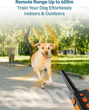 Dog running outdoors with a remote control device, indicating remote training capabilities at Pet Servo