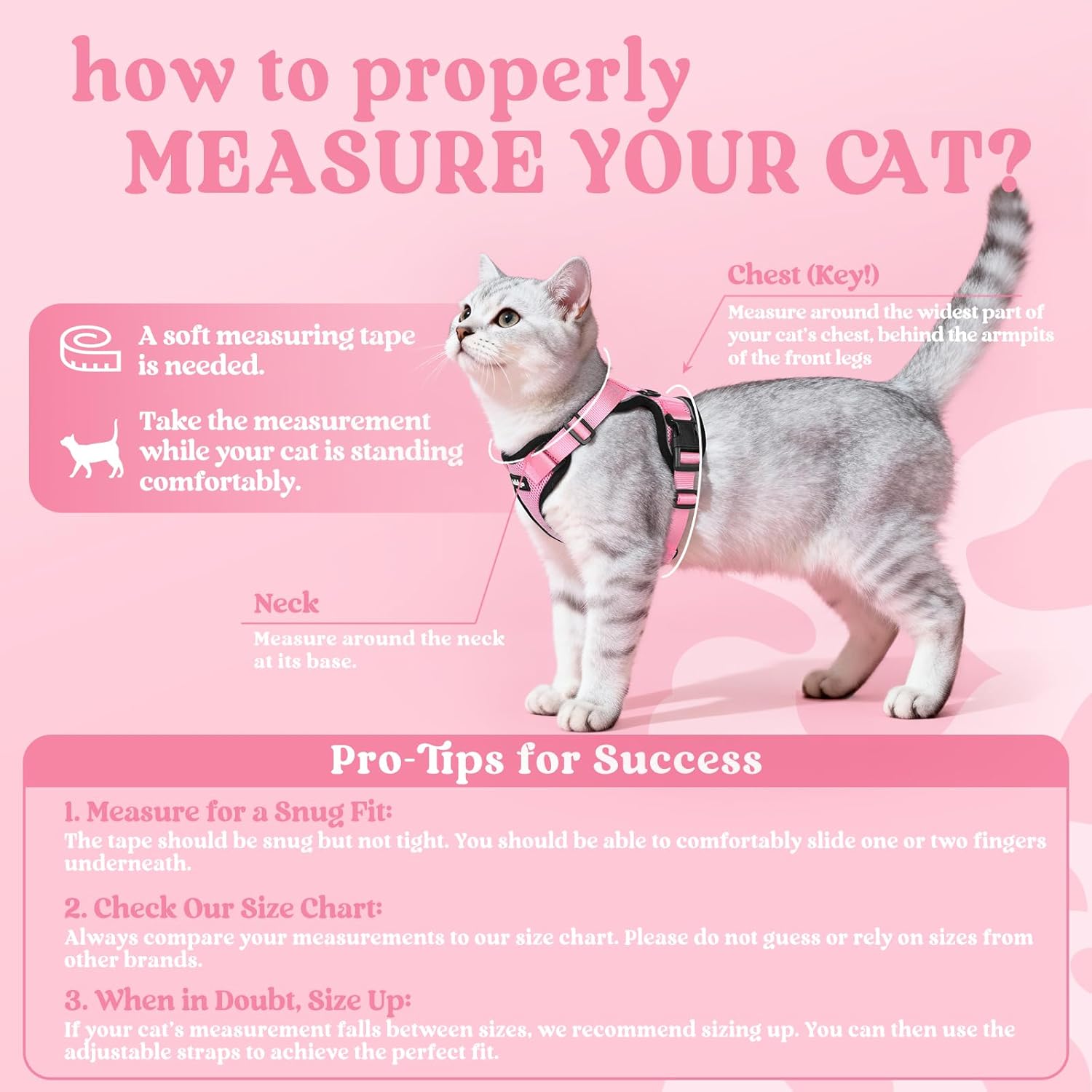 Cat measurement guide with text on a pink background at Pet Servo