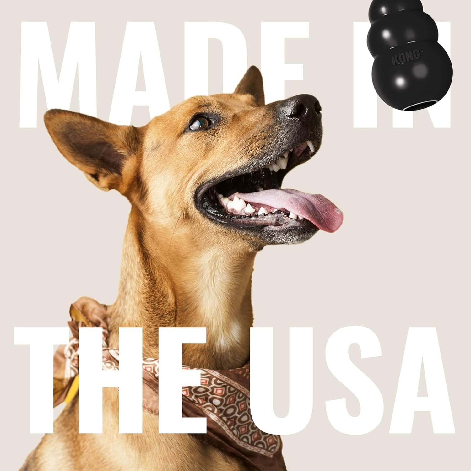 Dog with open mouth and tongue, KONG toy above, text 'MADE IN THE USA' on beige background at Pet Servo