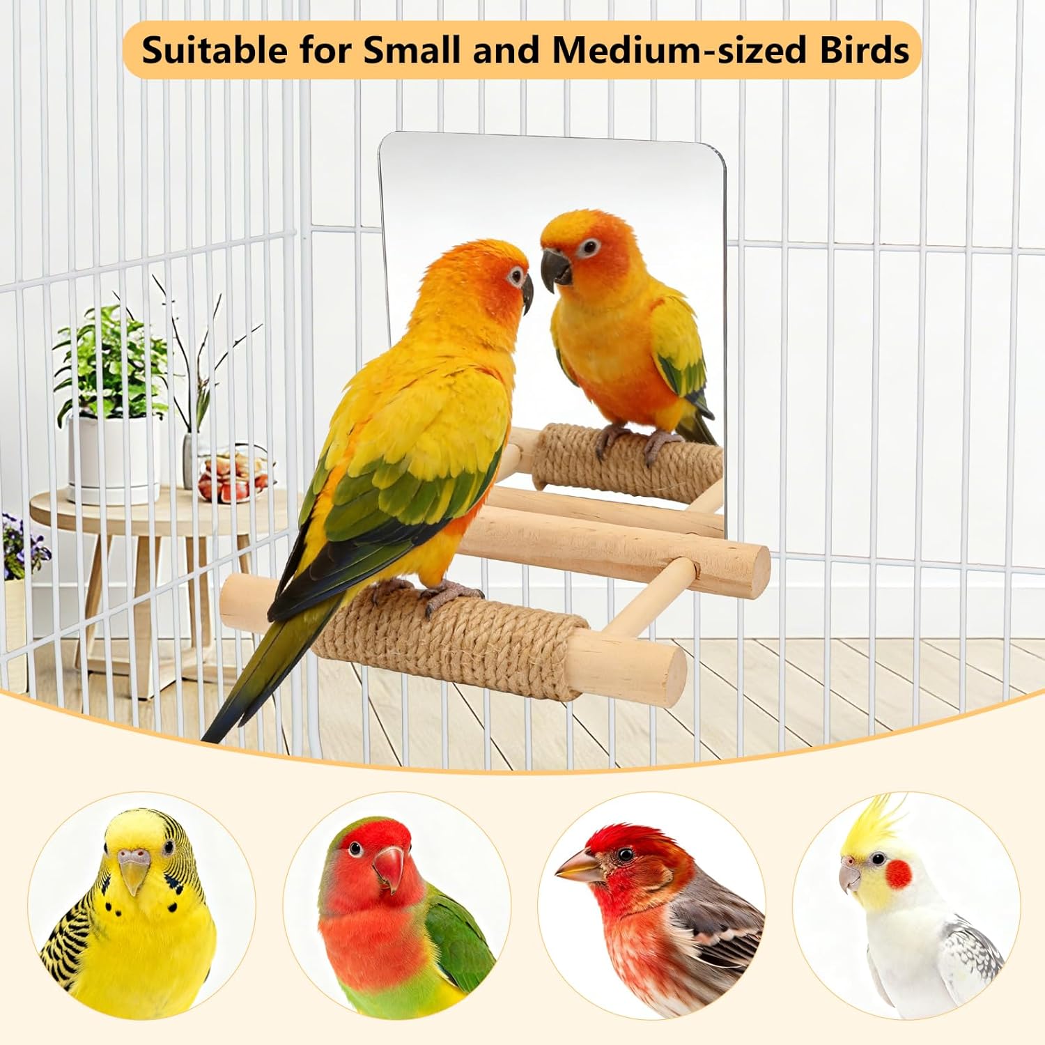 Two parrots on a wooden perch with text indicating suitability for small and medium-sized birds, and images of different bird breeds at Pet Servo