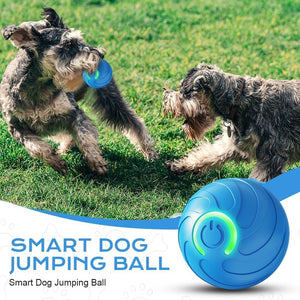 Two dogs playing with a blue smart dog jumping ball on grass at Pet Servo