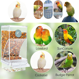 Collage of birds and a bird feeder with text labels for different types of birds at Pet Servo
