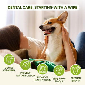 Woman petting a dog with dental care benefits displayed on a white background at Pet Servo