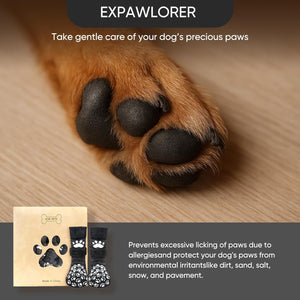 Dog paw with product packaging and text about paw care on a wooden surface at Pet Servo