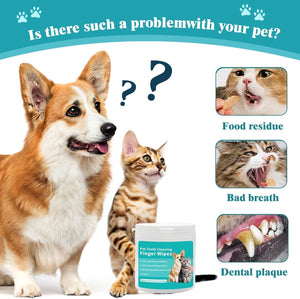 Dog and cat with a container of pet teeth cleaning wipes, accompanied by images of dental issues at Pet Servo
