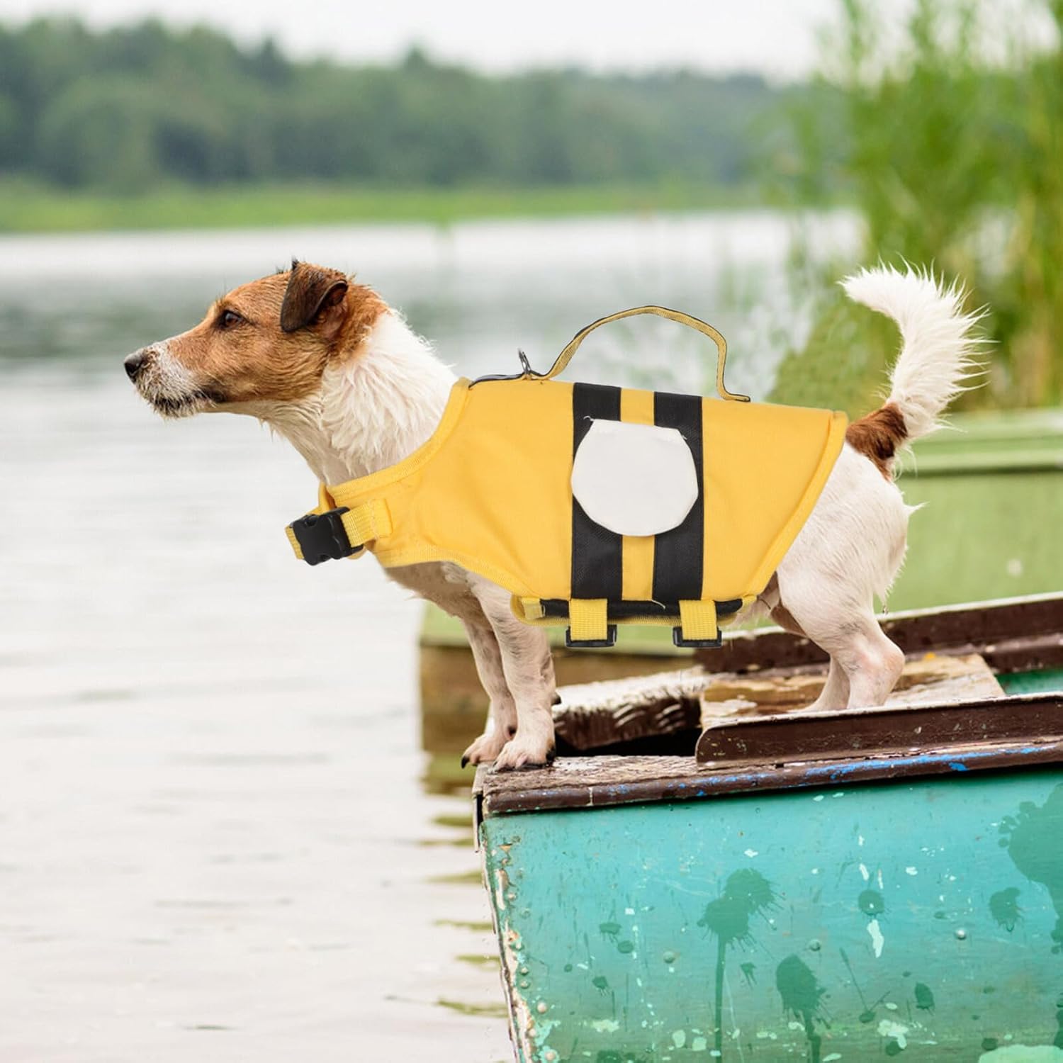 Dog wearing a yellow life jacket on a boat by a lake at Pet Servo
