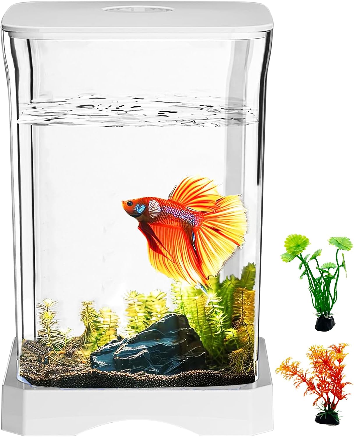 Small fish tank with a colorful fish and decorative plants on a white background at Pet Servo