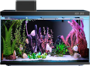 Fish tank with plants, rocks, and corals on a white background at Pet Servo