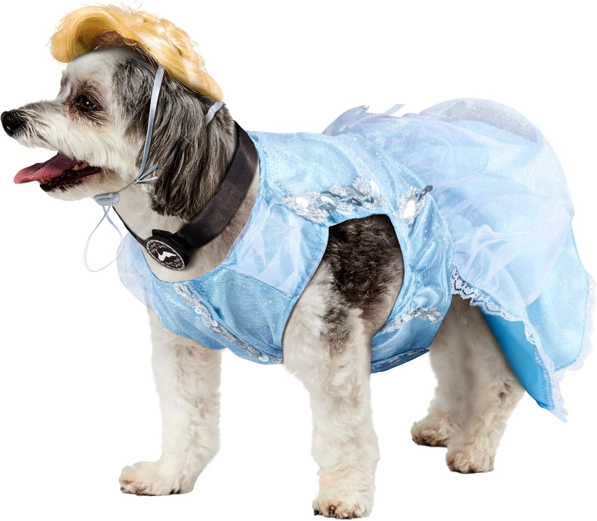 Dog wearing a blue princess dress with a crown on a white background at Pet Servo