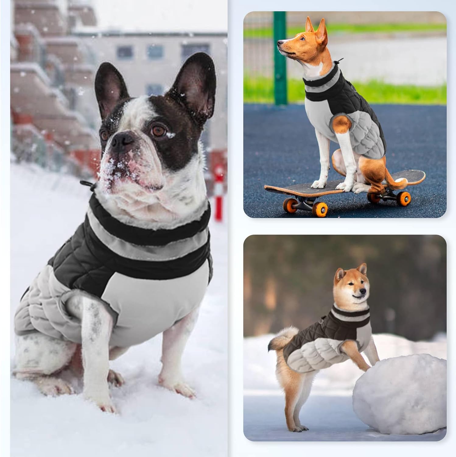 OUOBOB - Waterproof Dog Coat w/Harness - Black - Petservo