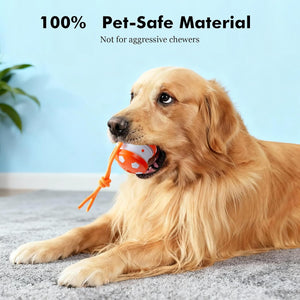 Dog playing with a ball, text indicating 100% pet-safe material and not for aggressive chewers at Pet Servo