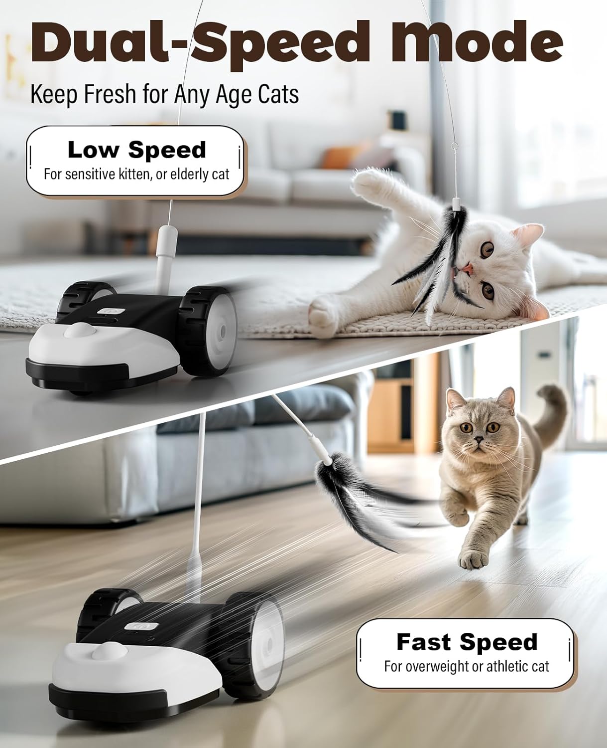 Pet cleaning device with a cat on a table and another cat on the floor, featuring dual-speed mode text at Pet Servo