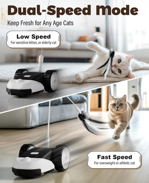 Pet cleaning device with a cat on a table and another cat on the floor, featuring dual-speed mode text at Pet Servo