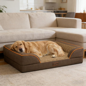 A golden retriever dog rests on a brown raised pet bed with orange piping in a living room setting with a beige sectional sofa in the background. The brand name 'Cula Paw' is visible on a small leather patch on the front of the bed at Pet Servo
