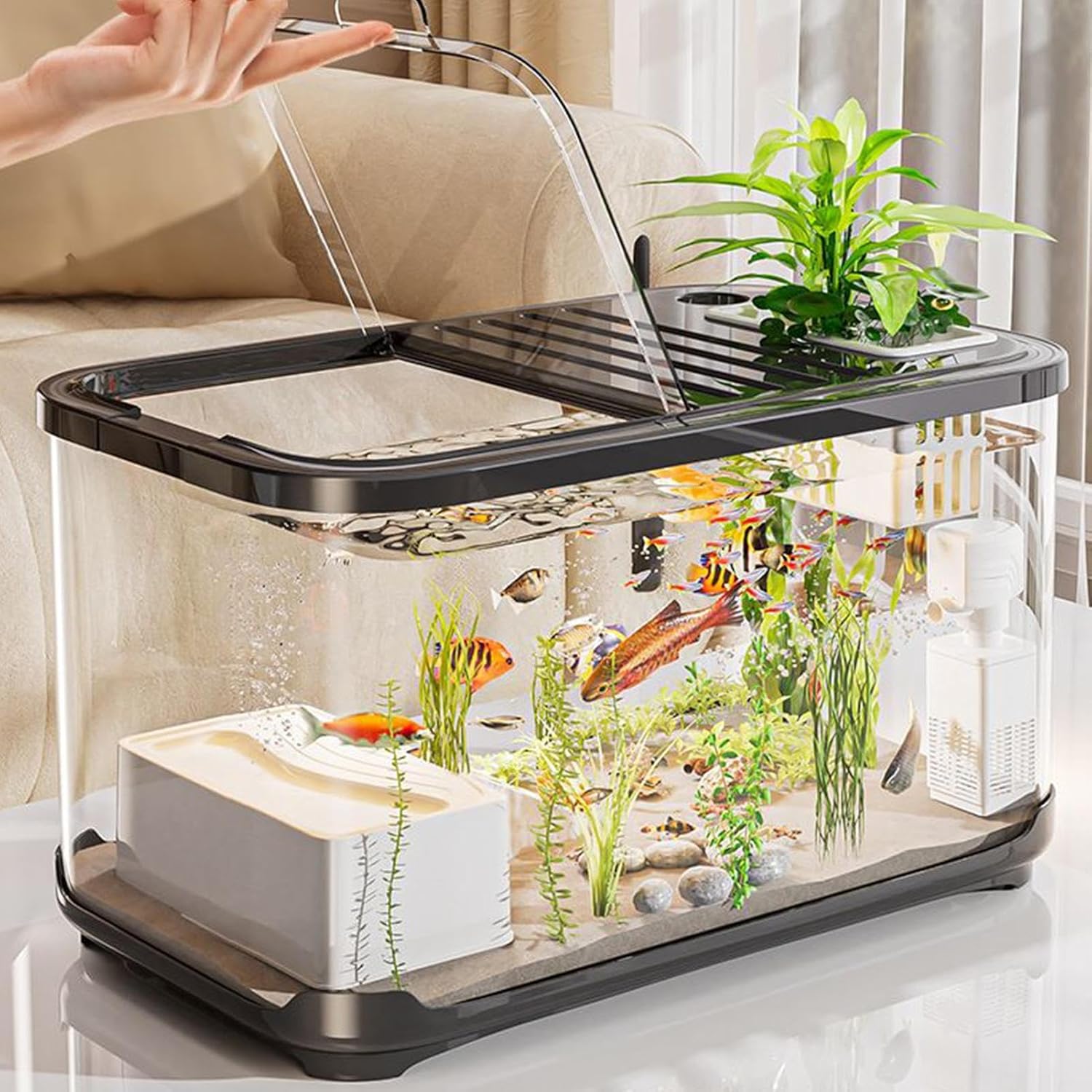 Small aquarium with fish and plants on a table at Pet Servo