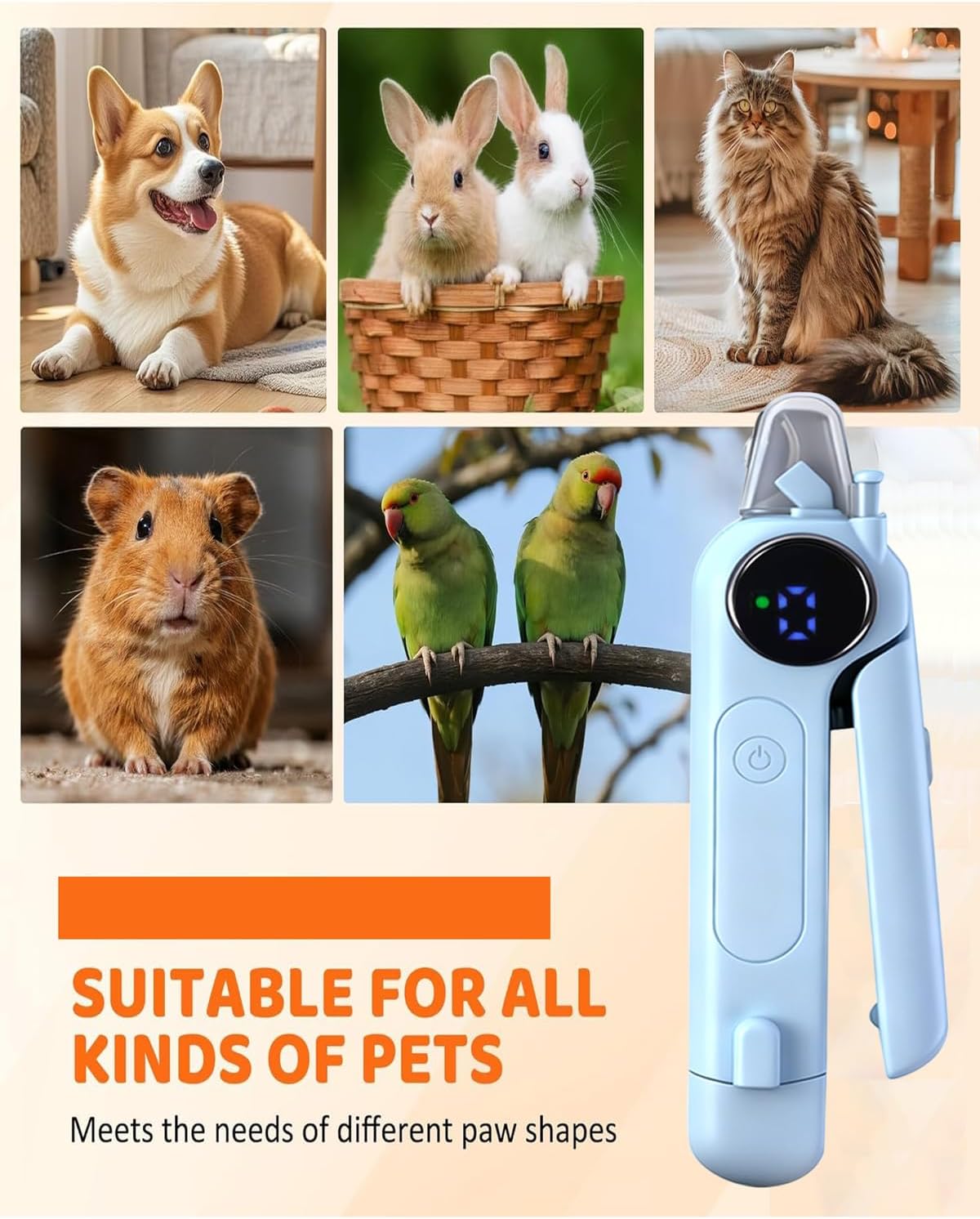 Collage of various pets with a pet grooming tool on a beige background at Pet Servo