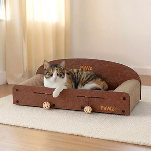 A calico cat lies inside a brown and beige PawWz cat bed with dangling toy balls, placed on a cream rug in a softly lit room at Pet Servo