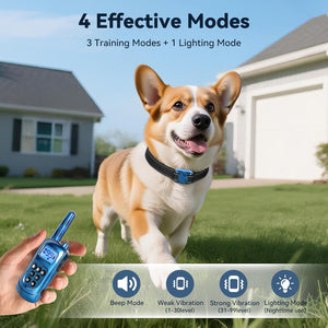 Dog wearing a blue collar with a remote control in front of a house at Pet Servo