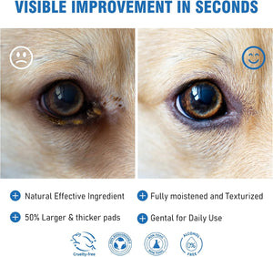 Before and after comparison of a dog's eye with visible improvement text and product features listed at Pet Servo