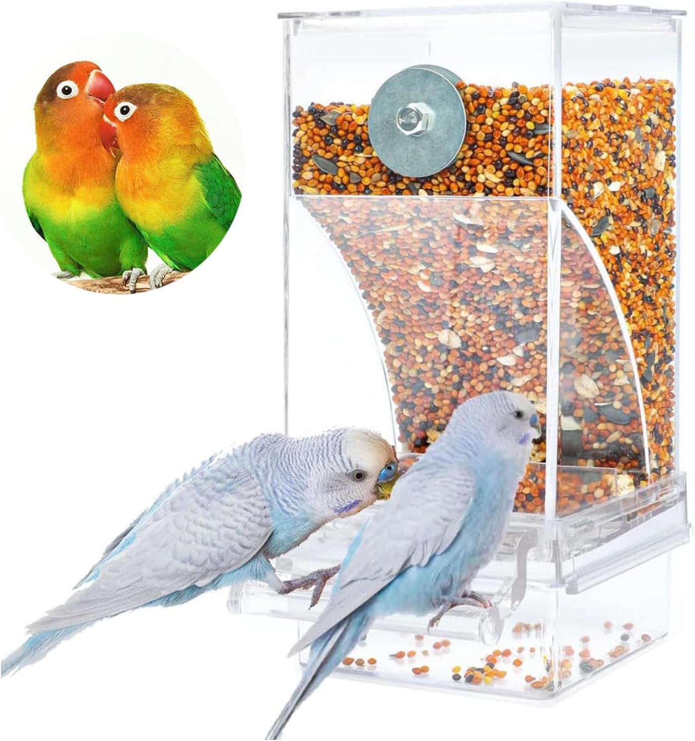Bird feeder with bird seeds and two birds on a white background at Pet Servo