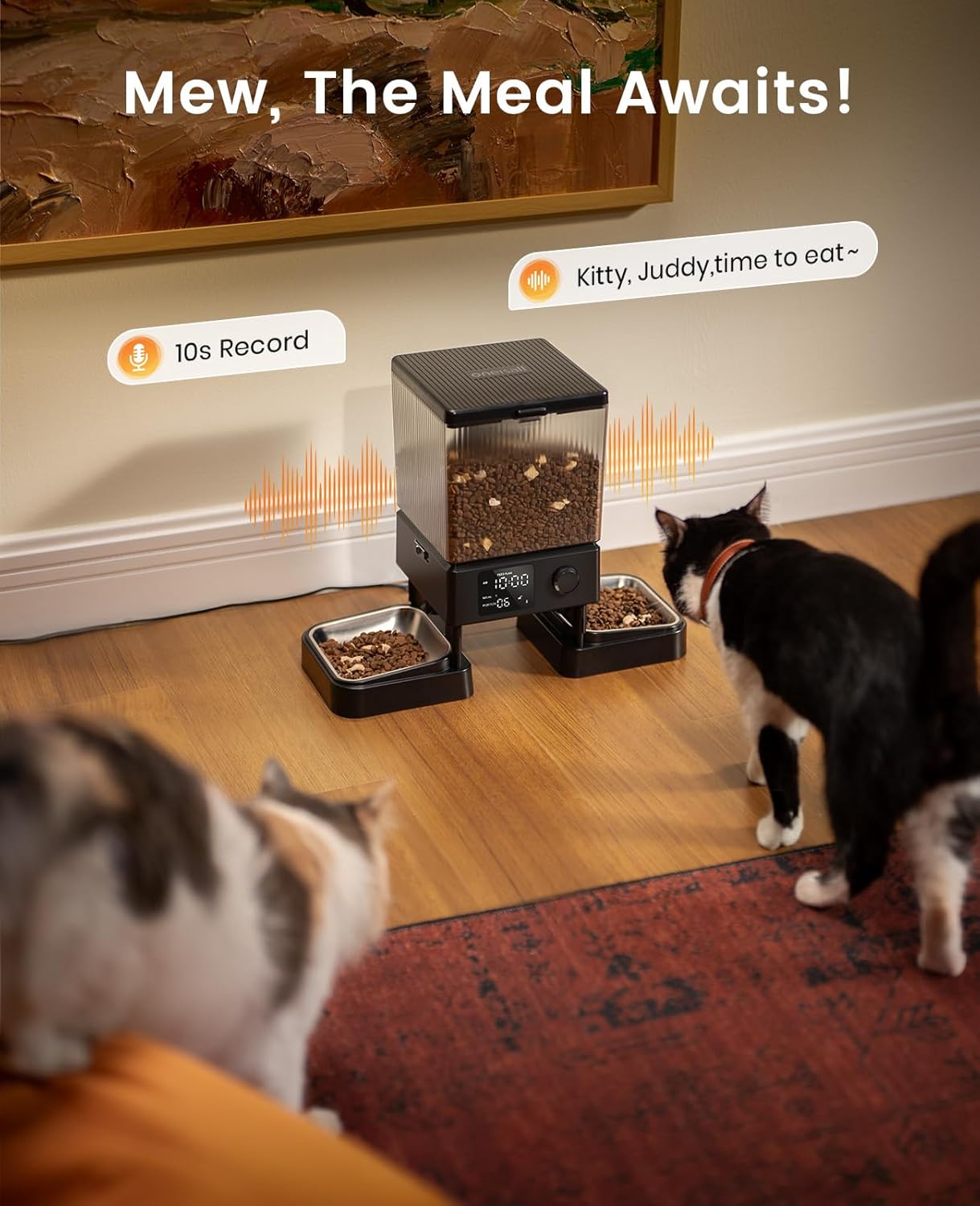 Buy oneisall - Automatic Cat Feeder for Dry Food at Pet Servo