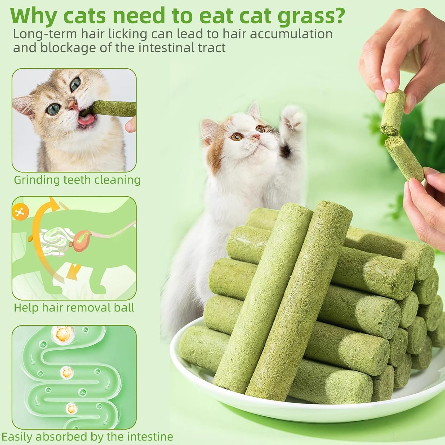 Cat grass sticks with text explaining benefits and a hand holding a stick at Pet Servo