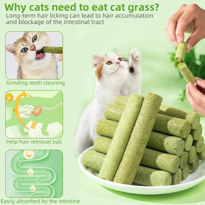 Cat grass sticks with text explaining benefits and a hand holding a stick at Pet Servo