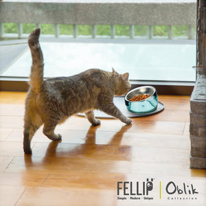 Cat approaching a metal food bowl on a wooden floor with 'Felli' branding at Pet Servo