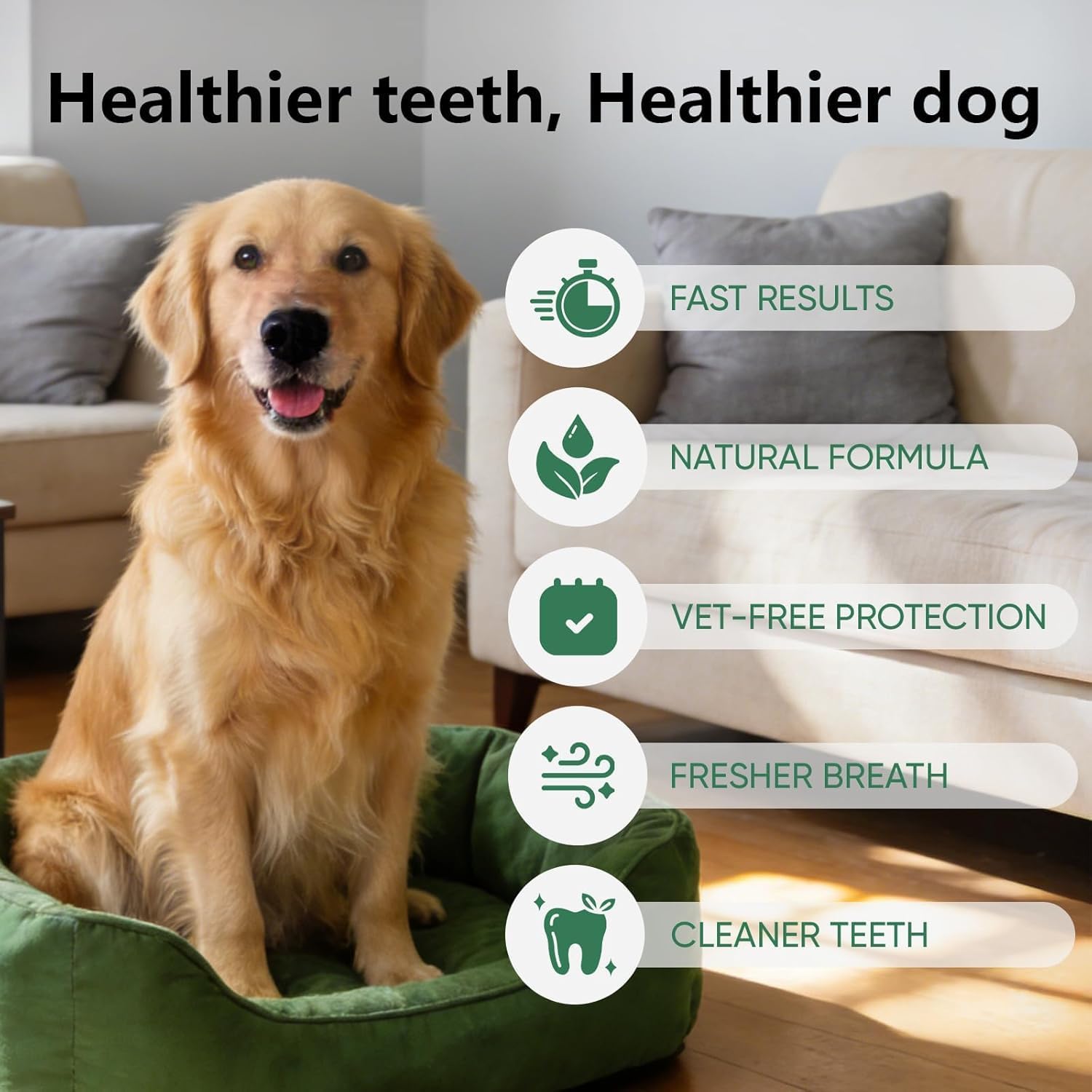 Dog sitting on a green cushion with health benefits text and icons at Pet Servo