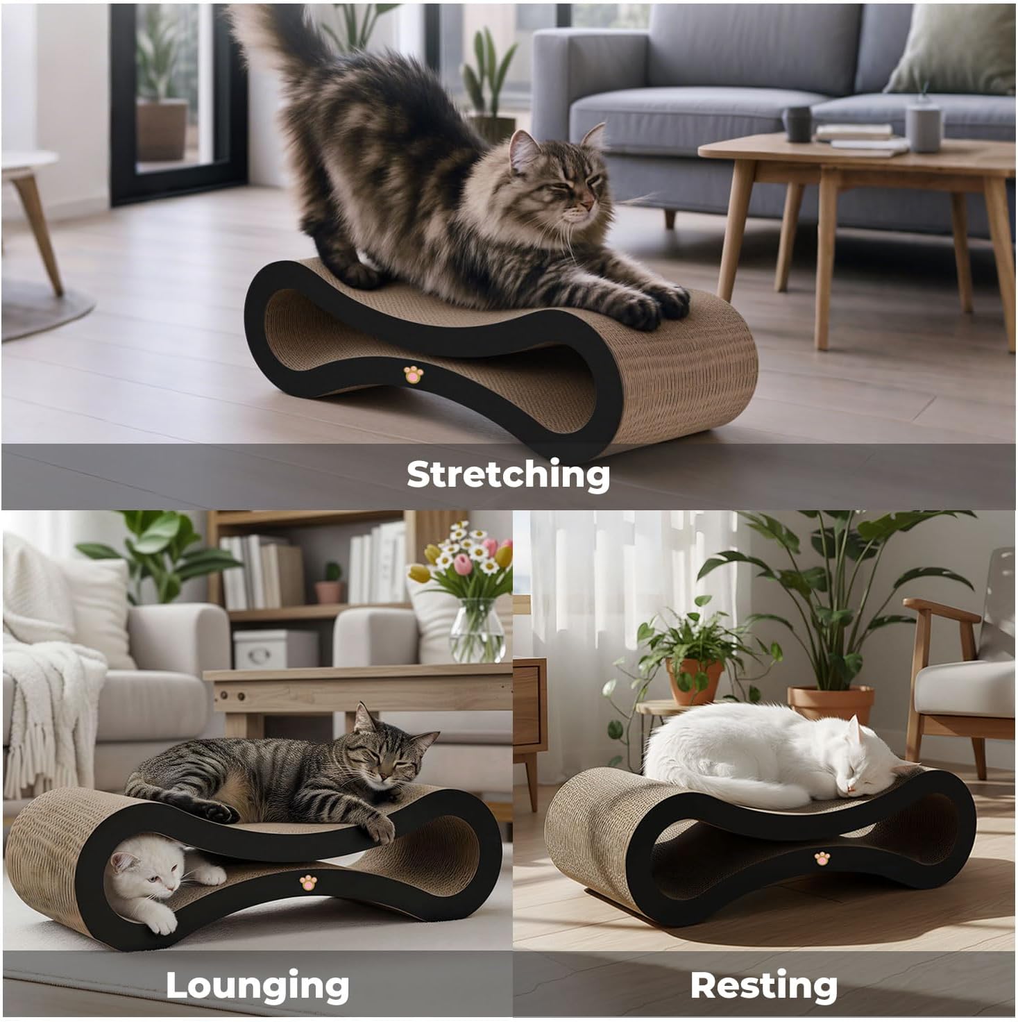 Pawz Scratcher Lounging Calming Bed for Indoor Large Cats with Organic Catnip at Pet Servo