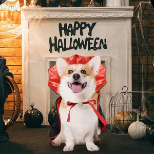 A corgi dog wearing a red and black vampire cape costume sits in front of a white fireplace decorated with 'HAPPY HALLOWEEN' lettering, pumpkins, and spiderwebs.