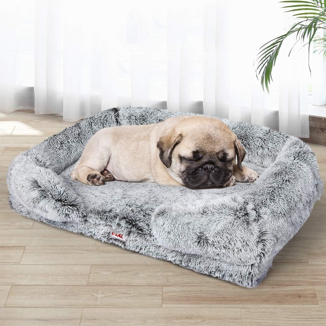 Dog resting on a fluffy gray pet bed in a bright room with curtains and a plant at Pet Servo