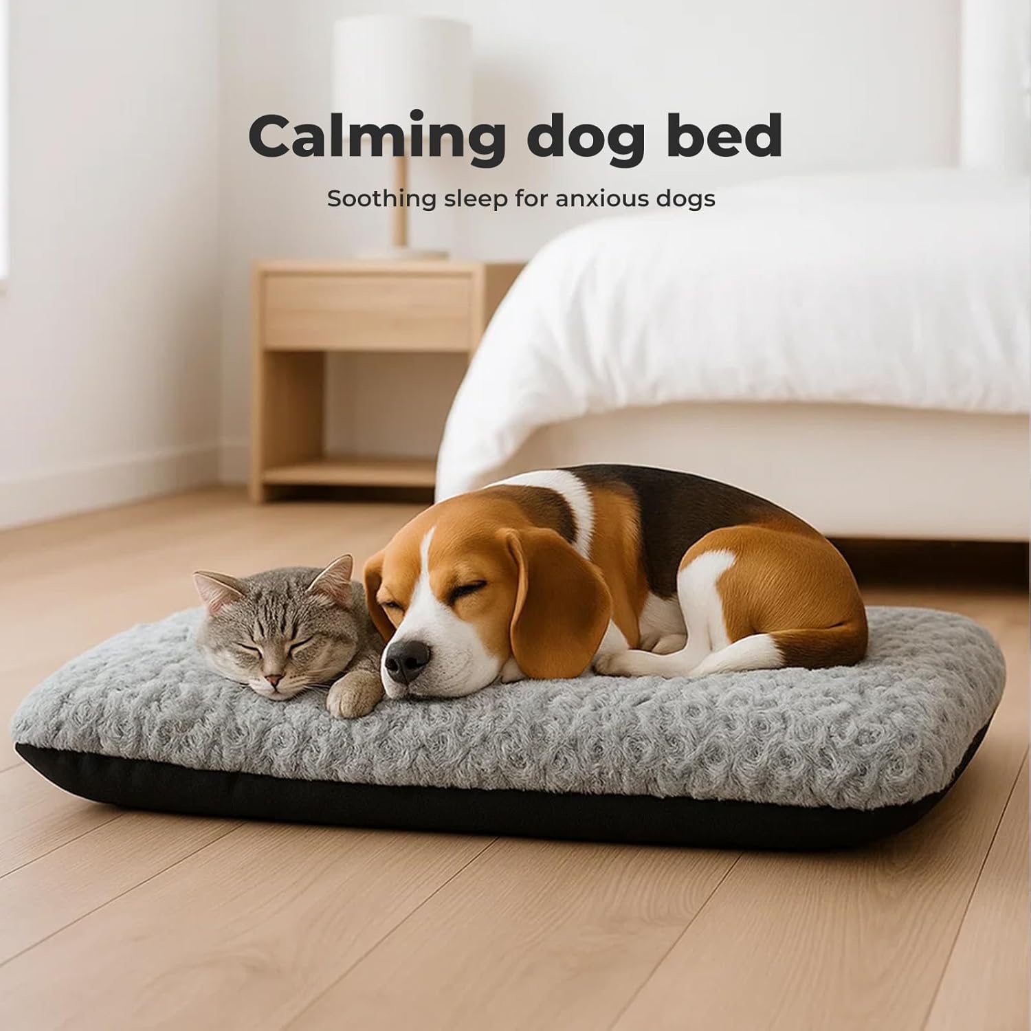 Dog and cat sleeping on a calming dog bed in a room with a wooden floor and white walls at Pet Servo