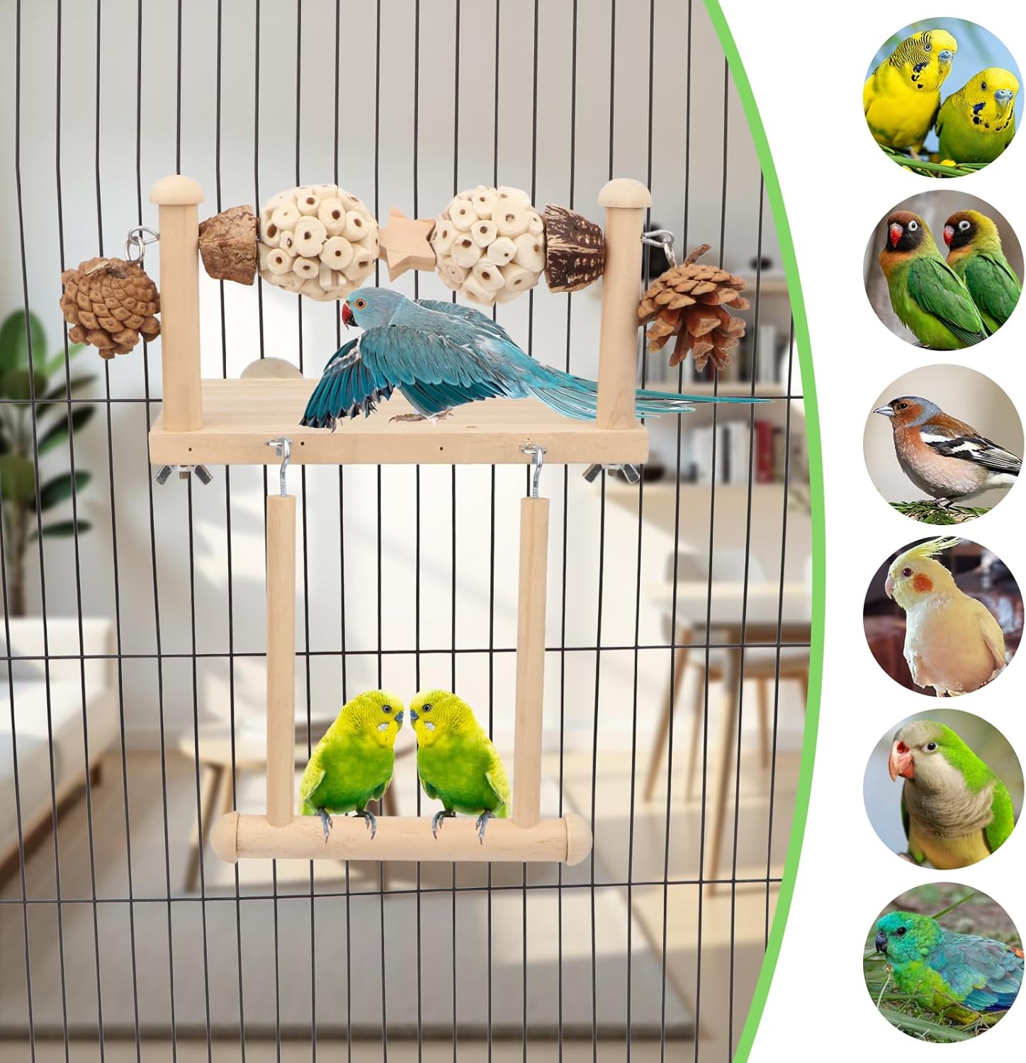 Bird perch with birds on a cage, surrounded by circular images of various birds at Pet Servo