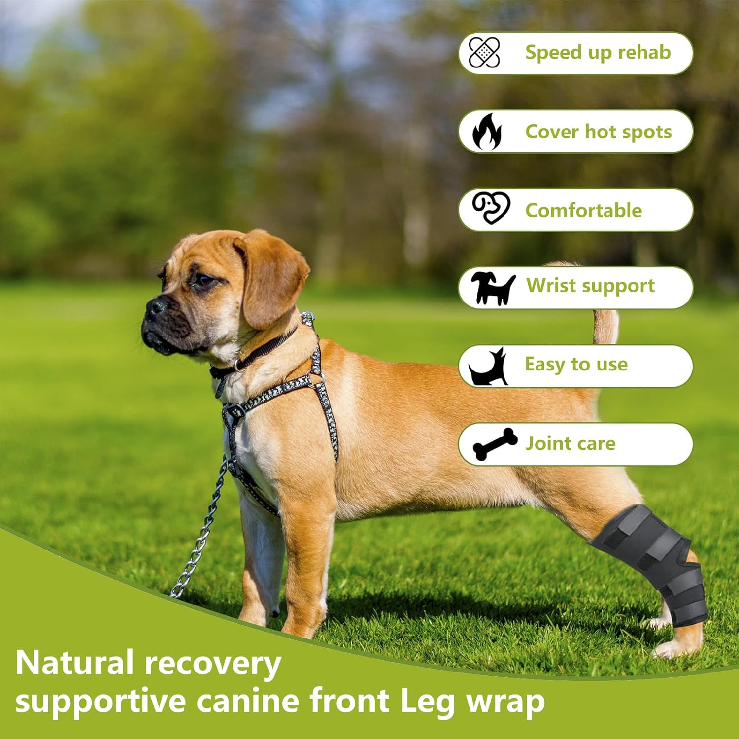 Dog wearing a front leg wrap on grass with feature text overlay at Pet Servo
