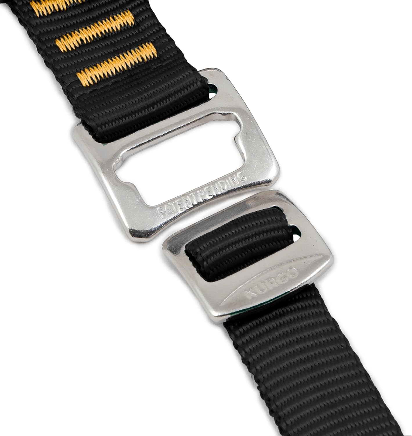 Close-up of a black strap with a silver buckle on a white background at Pet Servo