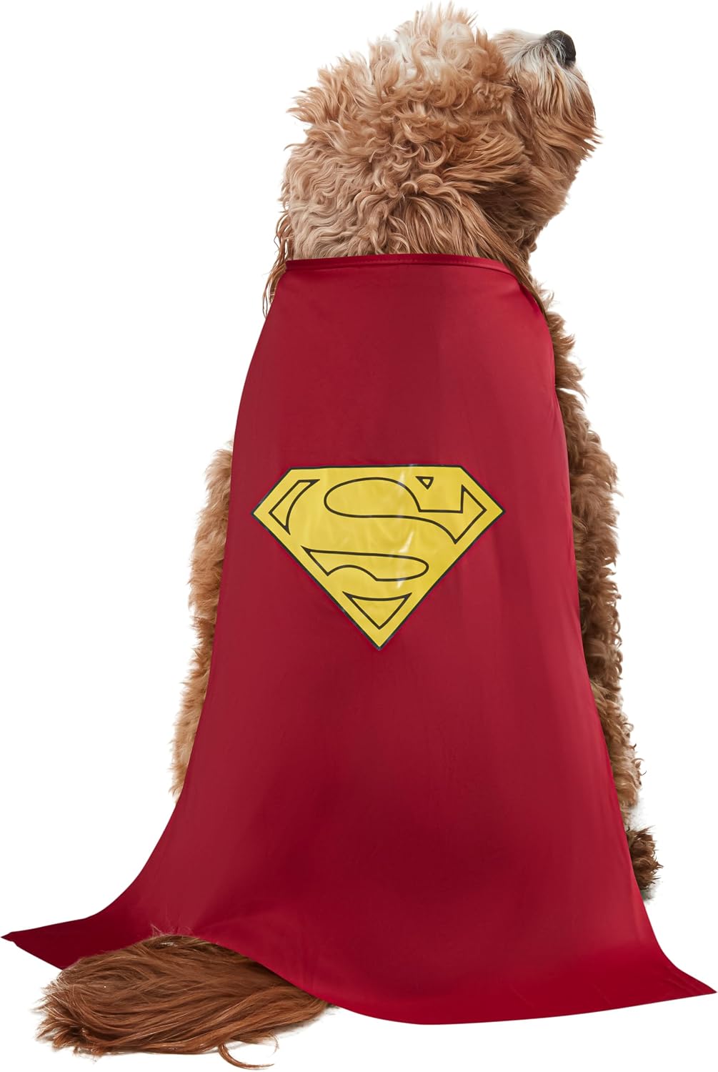 A small brown dog wearing a red cape with a yellow Superman-style chest emblem, shown against a plain white background at Pet Servo