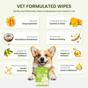 Dog glove wipes with vet-formulated ingredients and a smiling dog on a light green background at Pet Servo