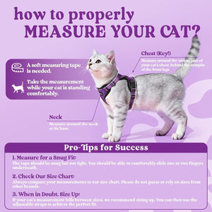 Cat measurement guide with text on a purple background at Pet Servo