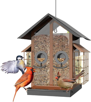 Bird feeder with birds on a white background at Pet Servo