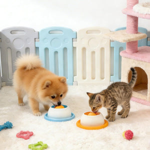 Dog and cat eating from bowls in a pet play area with toys and a climbing structure at Pet Servo