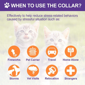 Collar usage chart for cats with images and text on a gradient background at Pet Servo