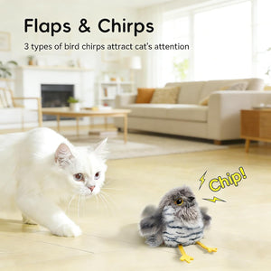 Cat interacting with a small bird in a living room setting, with text about bird chirps at Pet Servo