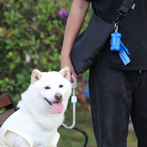 White dog on a leash held by a person with a blue bag in a park setting at Pet Servo