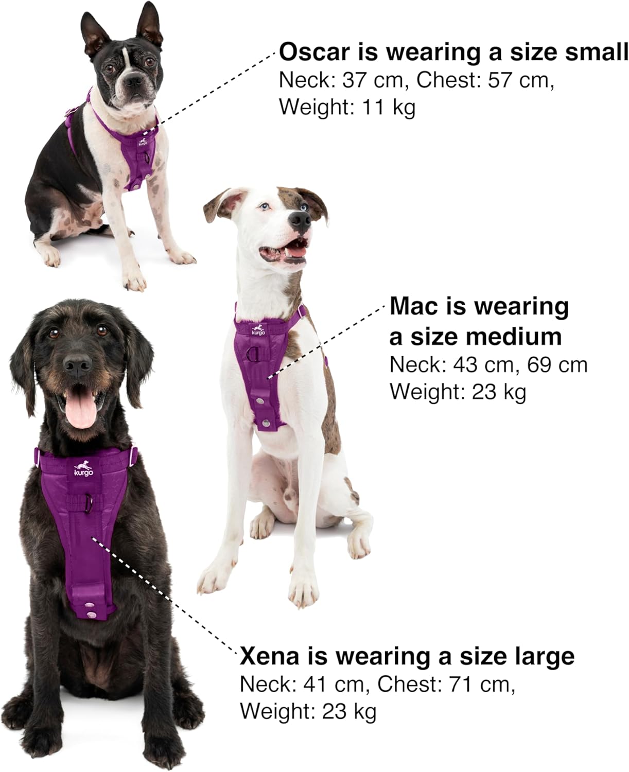 Three dogs wearing purple harnesses with size chart information on a white background at Pet Servo