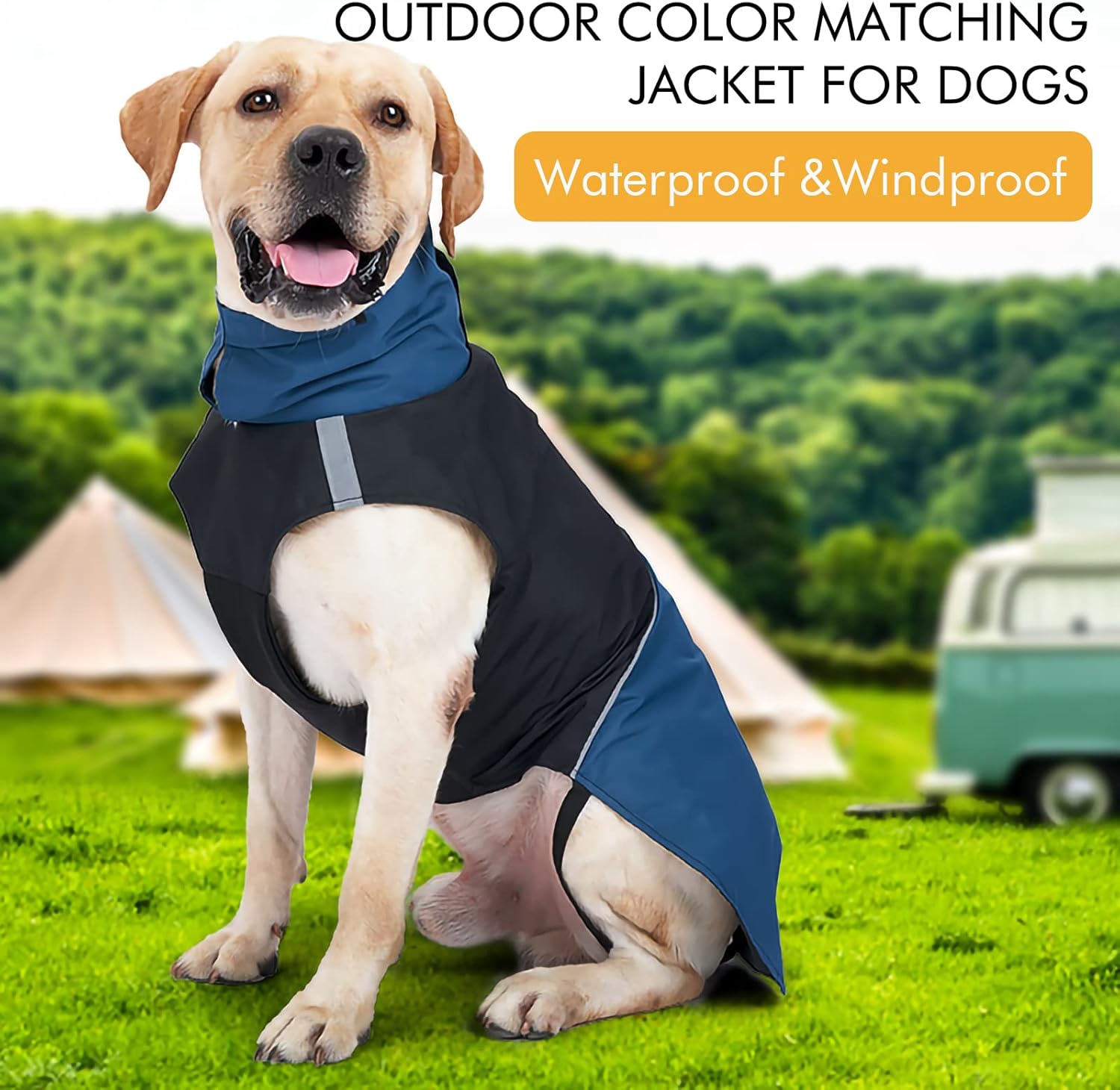 ODSSDAPU - Blue Windproof Dog Coat w/Leash Hole - Petservo