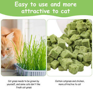 Cat grass and cat food with text on a green background at Pet Servo
