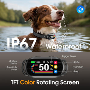 Dog wearing a waterproof dog collar with a color-rotating screen in water, featuring IP67 rating and product features at Pet Servo