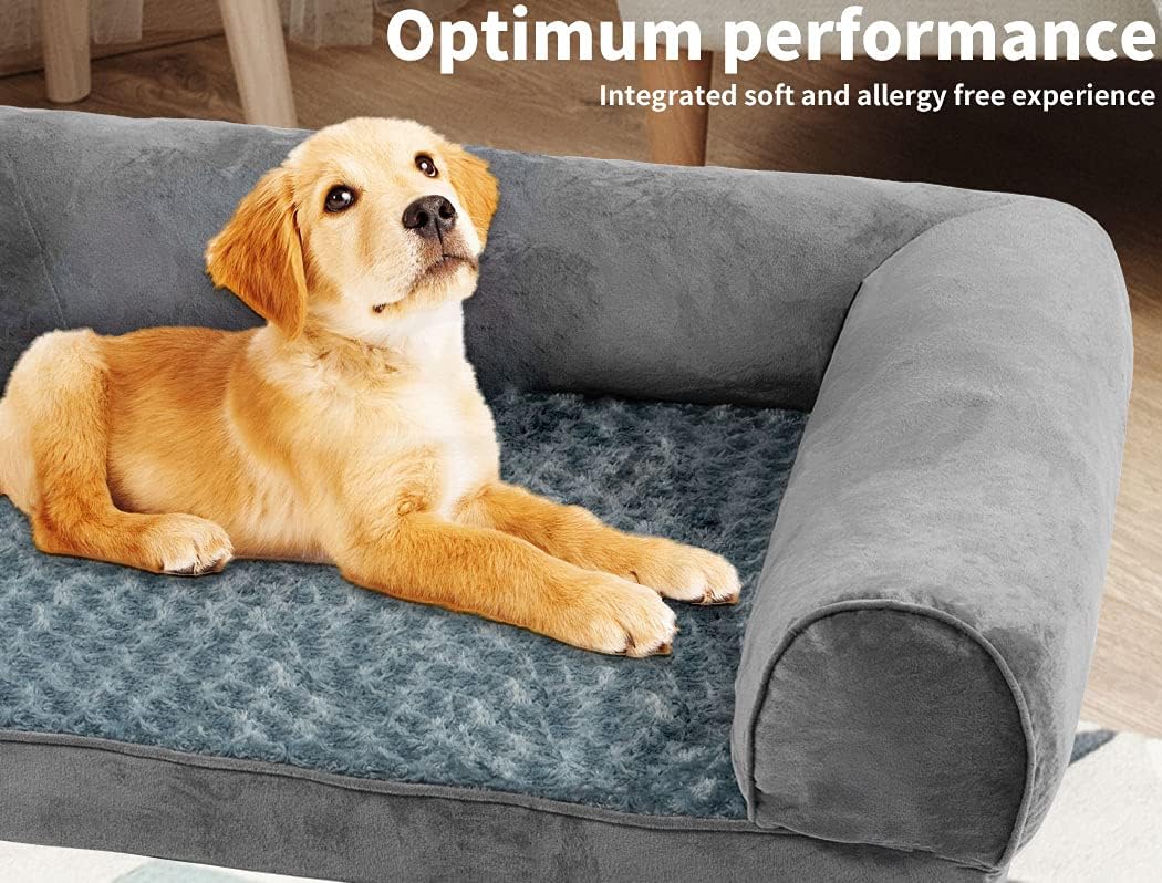 Dog lying on a gray pet bed with 'Optimum performance' text above at Pet Servo