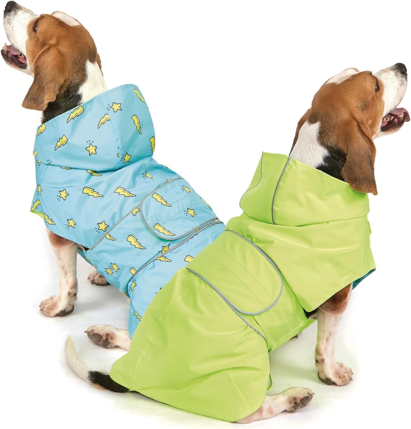Two dogs wearing colorful raincoats on a white background at Pet Servo